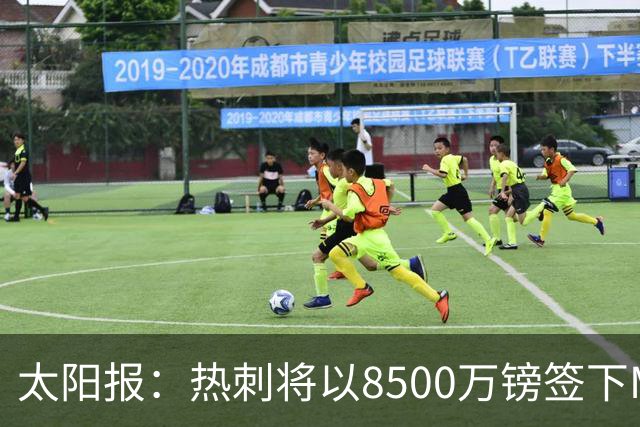 太阳报：热刺将以8500万镑签下M费，曼联不愿支付更高薪水